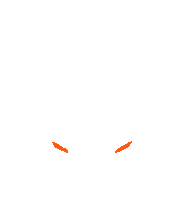 LYNX